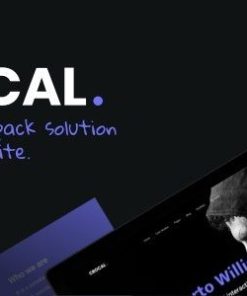鳄鱼 WordPress 主题crocal wordpress theme