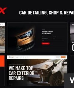 DetailX 汽车美容店维修主题detailx car detailing shop repair theme