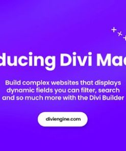 divi machine 迪维机
