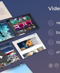 dzs video gallery wordpress plugin DZS 视频库 WordPress 插件
