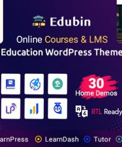 edubin WordPress 主题edubin wordpress theme