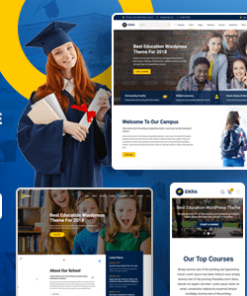 Eikra 教育 WordPress 主题eikra education wordpress theme