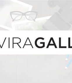 envira gallery wordpress plugin Envira Gallery WordPress 插件