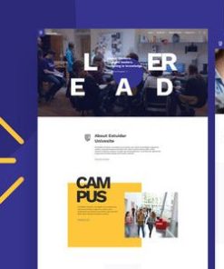 学习 WordPress 主题estudiar wordpress theme
