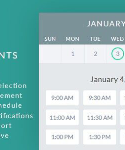 gappointments addon for gravity forms 用于重力表格的 gappointments 插件