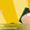 hustle pro wordpress plugin Hustle Pro WordPress 插件