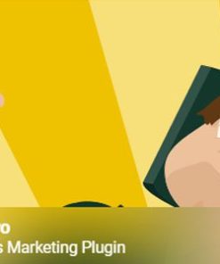 hustle pro wordpress plugin Hustle Pro WordPress 插件