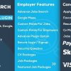 jobsearch wordpress plugin 求职WordPress插件