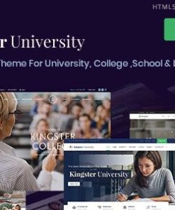 金斯特 WordPress 主题kingster wordpress theme