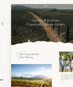 拉加尔酒庄葡萄酒电子商务lagar winery wine ecommerce