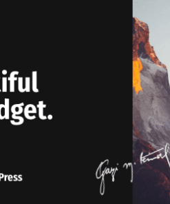 live chat unlimited wordpress plugin 实时聊天无限 WordPress 插件