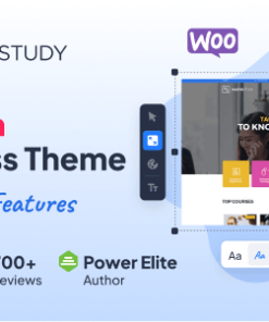 硕士教育 WordPress 主题masterstudy education wordpress theme
