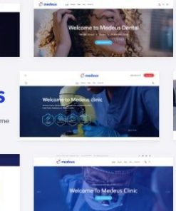 美狄乌斯 WordPress 主题medeus wordpress theme