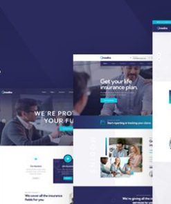 Modins 保险金融 WordPress 主题modins insurance finance wordpress theme