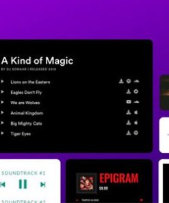 sonaar mp3 audio player pro Sonaar MP3 音频播放器专业版