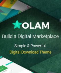 Olam WordPress 主题olam wordpress theme