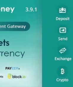 PayMoney 安全在线支付网关paymoney secure online payment gateway