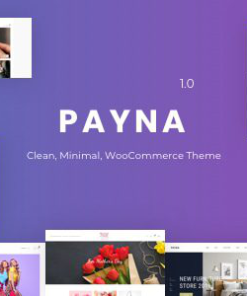 Payna 最小 WooCommerce 主题payna minimal woocommerce theme