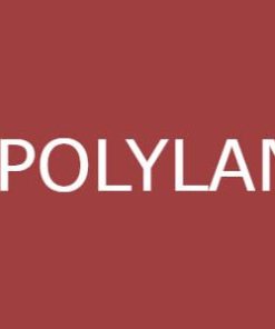 polylang pro multilingual wordpress plugin Polylang Pro 多语言 WordPress 插件