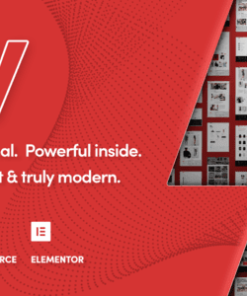 国王 WordPress 主题rey wordpress theme