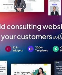 Rise 商业咨询 WordPress 主题rise business consulting wordpress theme