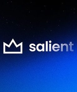 突出的 WordPress 主题salient wordpress theme
