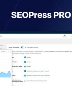 seopress pro plugin Seopress Pro 插件