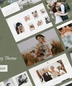 索林 WordPress 主题solene wordpress theme