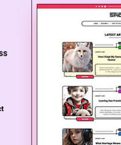 蜘蛛 WordPress 主题spide wordpress theme