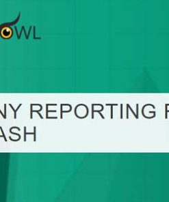 tin canny reporting for learndash LearnDash 的 Tin Canny 报告