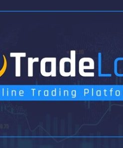 TradeLab网上交易平台tradelab online trading platform