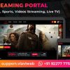 视频流门户video streaming portal