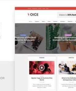 语音 WordPress 主题voice wordpress theme
