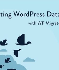 wp migrate db pro plugin WP Migrate DB Pro 插件