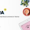 Zyra WordPress 主题