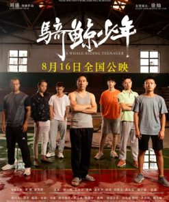 骑鲸少年