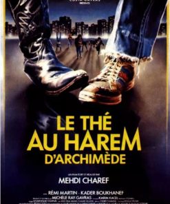 阿基米德后宫的茶