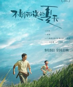 不期而遇的夏天