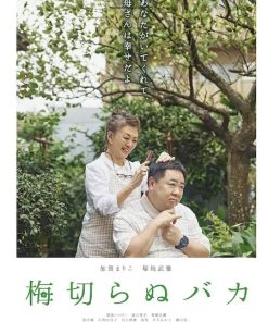 不砍梅树的傻瓜